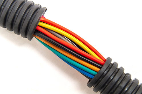 金龙电缆高端装备电线电缆项目在贵阳白云区投产