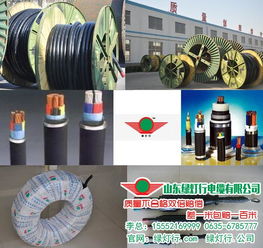 绿灯行电缆集团 图 ,10平方低压电缆规格,上海低压电缆